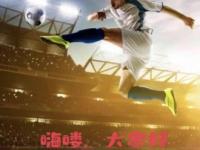 星空体育-乌迪内斯迎战国米，抗衡领袖之争的简单介绍